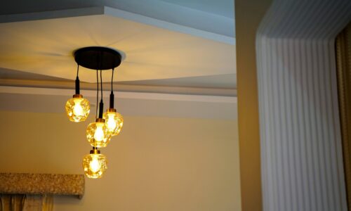 anuj-rawat-iQejXZkCKOs-unsplash